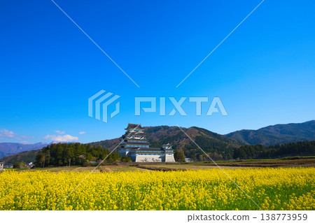 油菜花和勝山城博物館 油菜花和勝山城博物館 138773959