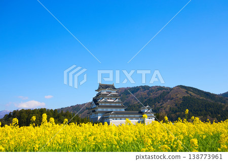 油菜花和勝山城博物館 油菜花和勝山城博物館 138773961