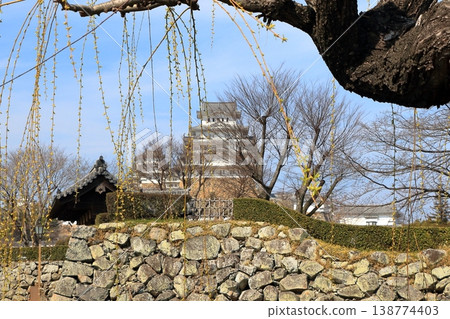 The view of Himeji Castle as seen from Himeji City The view of Himeji Castle as seen from Himeji City 138774403