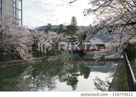 Kyoto in Spring: City bus crossing Keiryu Bridge with the canal and cherry blossoms in full bloom. Kyoto in Spring: City bus crossing Keiryu Bridge with the canal and cherry blossoms in full bloom. 138774813