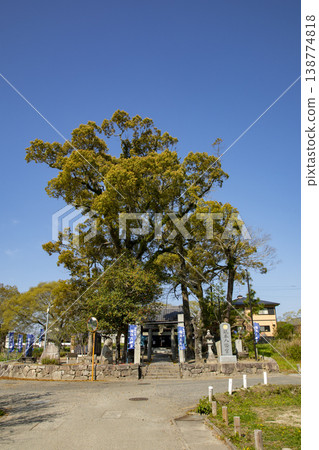 太宰府坂本八man宮 138774818