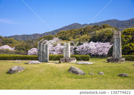 福岡縣太宰府市，太宰府官邸遺址與盛開的櫻花。 138774822
