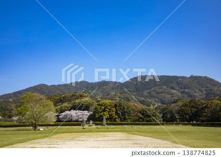 福岡縣太宰府市,太宰府官邸遺址與盛開的櫻花。 福岡縣太宰府市,太宰府官邸遺址與盛開的櫻花。 138774825