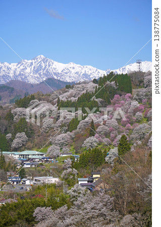 二反田櫻花(長野縣小川村) 二反田櫻花(長野縣小川村) 138775084