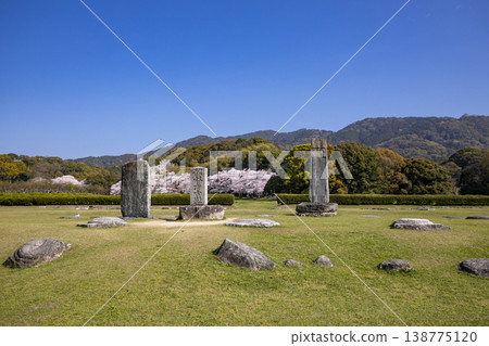 福岡縣太宰府市，太宰府官邸遺址與盛開的櫻花。 138775120
