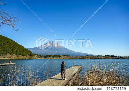 A woman taking photos at Lake Tanuki in Fujinomiya City, Shizuoka Prefecture, where there is a great view of Mt. Fuji. 138775159