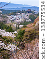 Yoshino mountain cherry tree 138775534