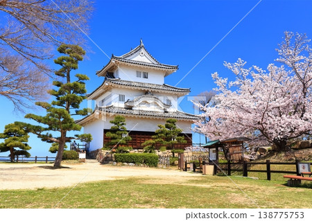 [Kagawa Prefecture] Marugame Castle in spring when cherry blossoms bloom (existing castle tower and stone wall famous castle) 138775753