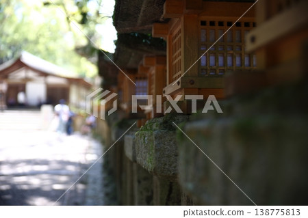 Lantern Lantern 138775813