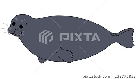 Baikal seal (side view) Baikal seal (side view) 138775832