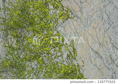 Early spring photo illustration of plants and trees Early spring photo illustration of plants and trees 138775928