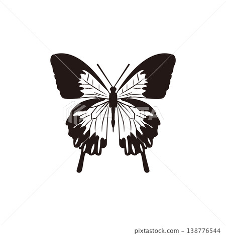 Butterfly illustration Butterfly illustration 138776544