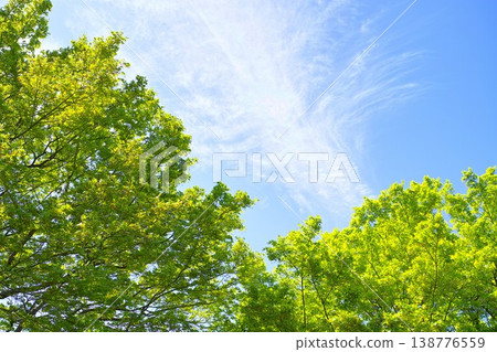 Blue sky and cloud image 138776559