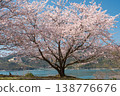 Image of a view where you can enjoy the Seto Inland Sea and cherry blossoms in full bloom [Setouchi City, Okayama Prefecture] 138776676