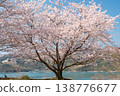 Image of a view where you can enjoy the Seto Inland Sea and cherry blossoms in full bloom [Setouchi City, Okayama Prefecture] 138776677