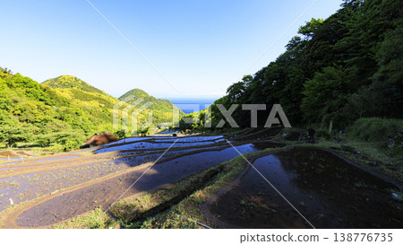 石部梯田、駿河灣以及海對岸的富士山。 138776735