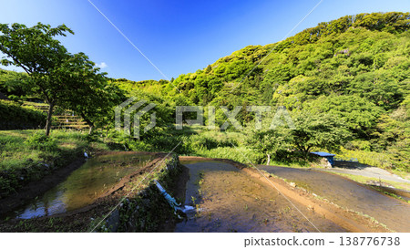石部梯田、駿河灣以及海對岸的富士山。 石部梯田、駿河灣以及海對岸的富士山。 138776738