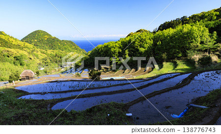 石部梯田、駿河灣以及海對岸的富士山。 石部梯田、駿河灣以及海對岸的富士山。 138776743