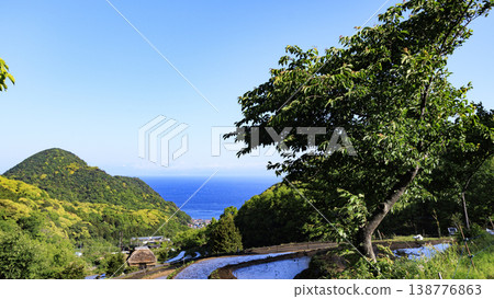 石部梯田、駿河灣以及海對岸的富士山。 138776863