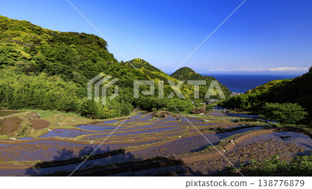 石部梯田、駿河灣以及海對岸的富士山。 石部梯田、駿河灣以及海對岸的富士山。 138776879