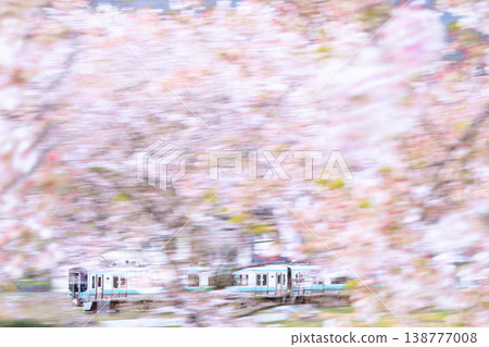 I tried taking a panning shot of the Obama Line train running through a field of cherry blossoms in full bloom near Wakasa-Arita Station. I tried taking a panning shot of the Obama Line train running through a field of cherry blossoms in full bloom near Wakasa-Arita Station. 138777008