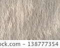Close-up view of delicate beige fabric with feather-like texture and shimmering metallic threads. 138777354