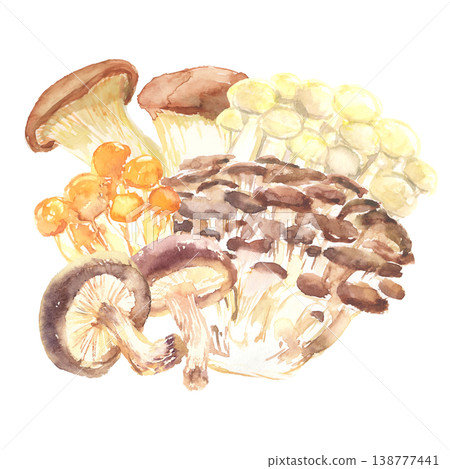 A watercolor illustration of an assortment of various kinds of mushrooms. 138777441