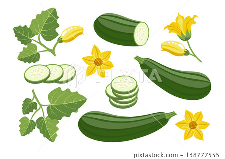 Zucchini vegetable elements set with flowers, slices and green leaves. Illustration. 138777555