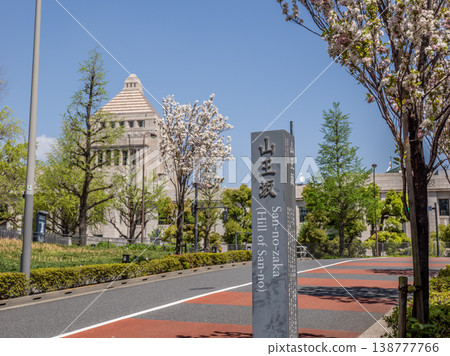 山王坂的路標、國會事堂和櫻花——象徵永田町的春天景象。 138777766