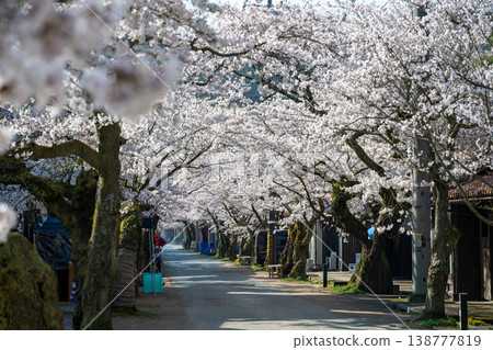 岡山縣新莊村美麗的春季櫻花盛開 岡山縣新莊村美麗的春季櫻花盛開 138777819