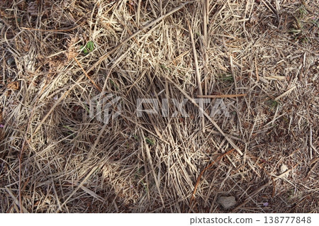 材質：乾草 138777848