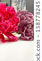 Close-up of Vibrant Pink and Purple Carnations on White Textured Background. 138778245