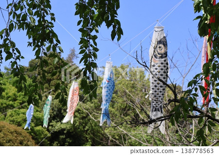 許多鯉魚旗 許多鯉魚旗 138778563