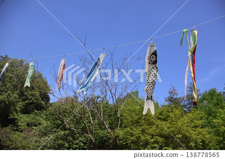 鯉魚飄帶在風中吹 138778565