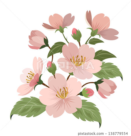 pink pastel cherry blossom flower pink pastel cherry blossom flower 138779554