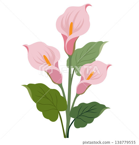 pink peace lily flower flat style 138779555