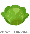 green lettuce vegetable flat style 138779649