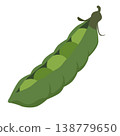 peas bean vegetable flat style 138779650