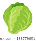 roman lettuce vegetable flat style 138779651