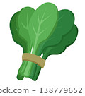 spinach salad vegetable flat style 138779652
