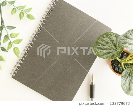 Business and creative workspaces; black ring notebooks and houseplants; desks with notebooks and plants. Business and creative workspaces; black ring notebooks and houseplants; desks with notebooks and plants. 138779673