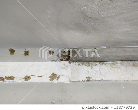Ceiling and wall with nail marks after ceiling removal showing surface damage and repair spots 138779729