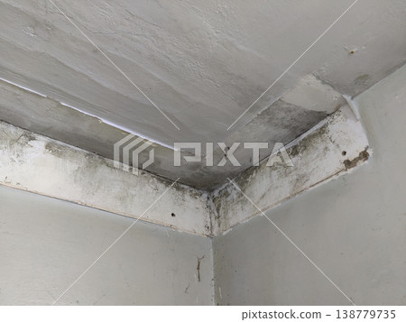 Room corner with ceiling and walls showing mold patches water stains cracks and visible damage Room corner with ceiling and walls showing mold patches water stains cracks and visible damage 138779735