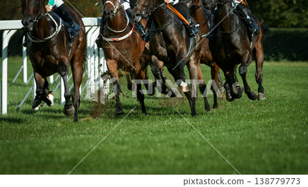 Race horses with jockeys on the home straight. Shaving effect. Race horses with jockeys on the home straight. Shaving effect. 138779773
