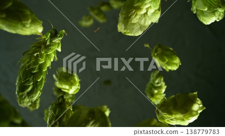 Freeze motion of falling fresh hops cones , close-up 138779783