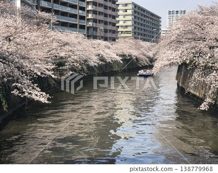 在河的櫻桃樹 138779968