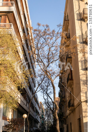 Narrow Barcelona street with tall residential buildings balconies and trees under warm sunlight and clear blue sky Narrow Barcelona street with tall residential buildings balconies and trees under warm sunlight and clear blue sky 138780631