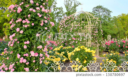 Beautiful roses in Tsurumai Park 138780697