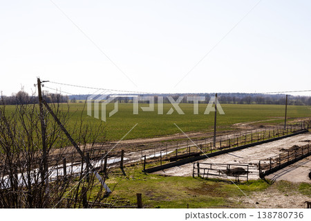 Sunny rural landscape with irrigation. Sunny farmland featuring water channels and crops 138780736