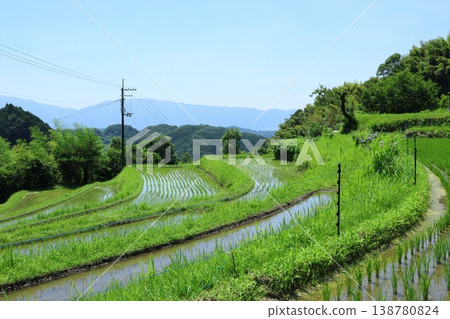 Beautiful rice terraces in summer Beautiful rice terraces in summer 138780824